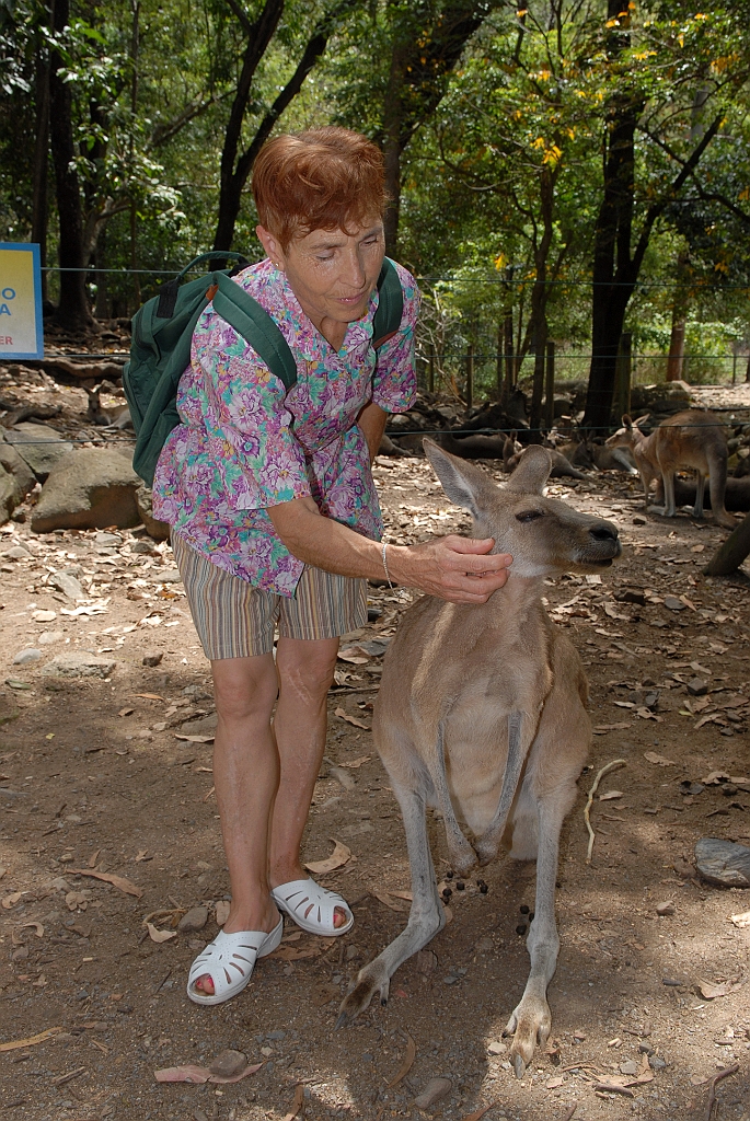 0085 Cairns Tropical Zoo.jpg